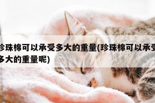 珍珠棉可以承受多大的重量(珍珠棉可以承受多大的重量呢)