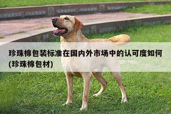 珍珠棉包装标准在国内外市场中的认可度如何(珍珠棉包材)