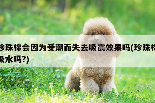 珍珠棉会因为受潮而失去吸震效果吗(珍珠棉吸水吗?)