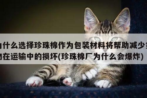 为什么选择珍珠棉作为包装材料将帮助减少货物在运输中的损坏(珍珠棉厂为什么会爆炸)