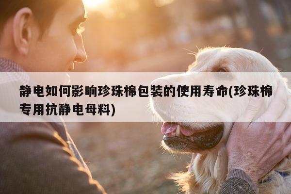 静电如何影响珍珠棉包装的使用寿命(珍珠棉专用抗静电母料)