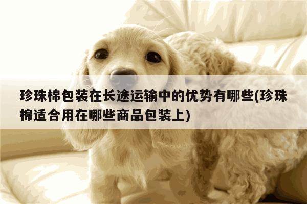 珍珠棉包装在长途运输中的优势有哪些(珍珠棉适合用在哪些商品包装上)