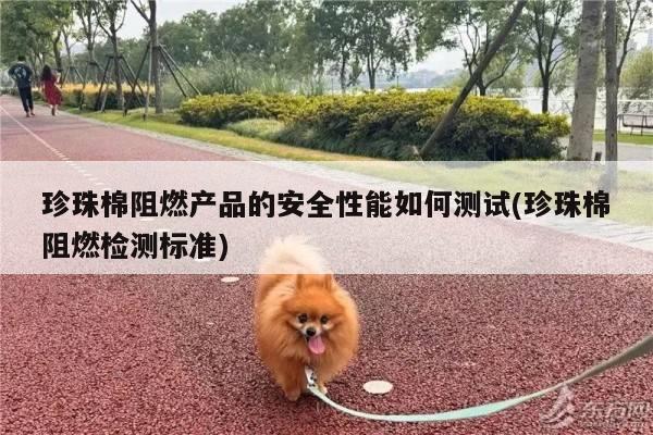 珍珠棉阻燃产品的安全性能如何测试(珍珠棉阻燃检测标准)