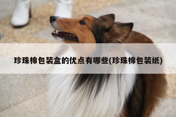 珍珠棉包装盒的优点有哪些(珍珠棉包装纸)