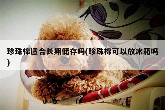 珍珠棉适合长期储存吗(珍珠棉可以放冰箱吗)