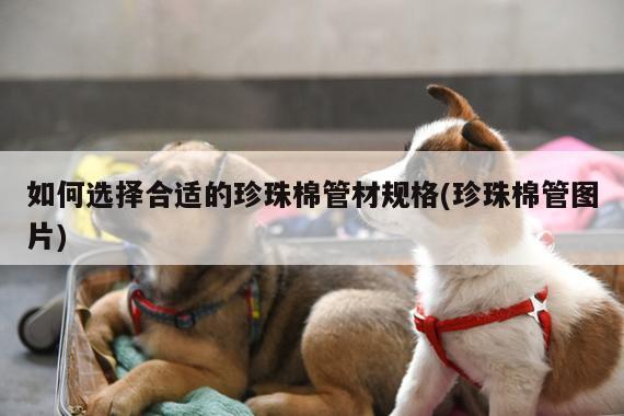 如何选择合适的珍珠棉管材规格(珍珠棉管图片)