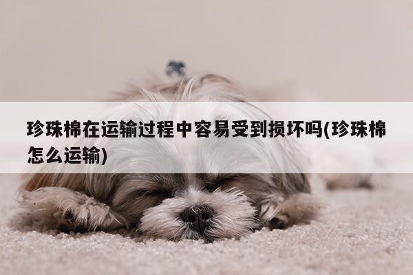 珍珠棉在运输过程中容易受到损坏吗(珍珠棉怎么运输)