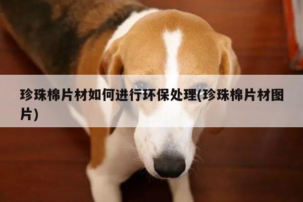 珍珠棉片材如何进行环保处理(珍珠棉片材图片)