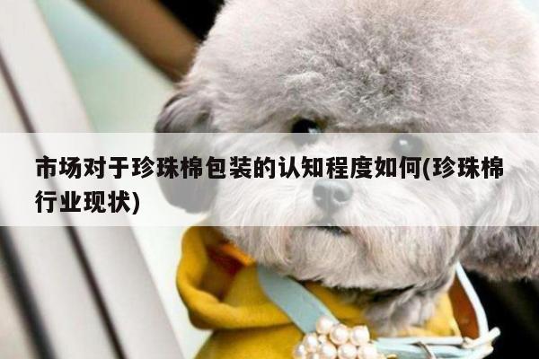 市场对于珍珠棉包装的认知程度如何(珍珠棉行业现状)