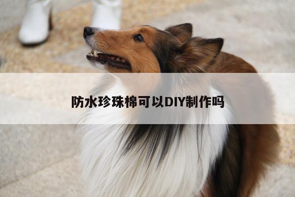 防水珍珠棉可以DIY制作吗