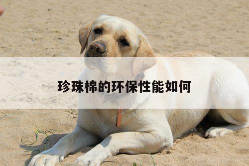 珍珠棉的环保性能如何