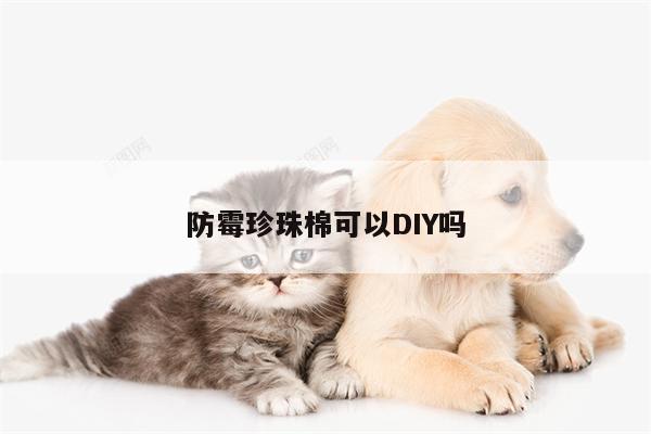 防霉珍珠棉可以DIY吗