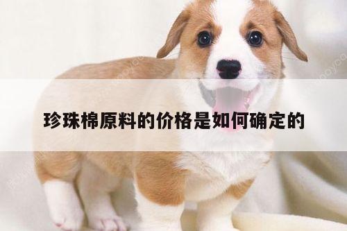 珍珠棉原料的价格是如何确定的