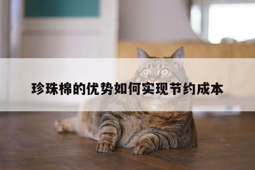 珍珠棉的优势如何实现节约成本