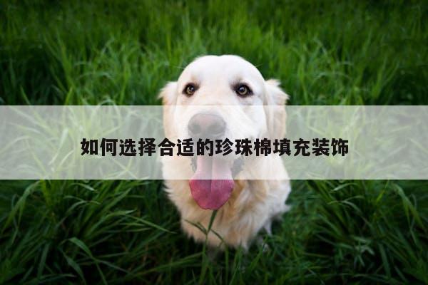 如何选择合适的珍珠棉填充装饰