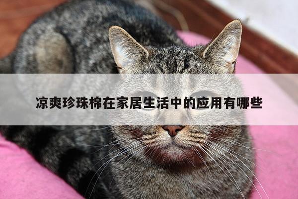 凉爽珍珠棉在家居生活中的应用有哪些