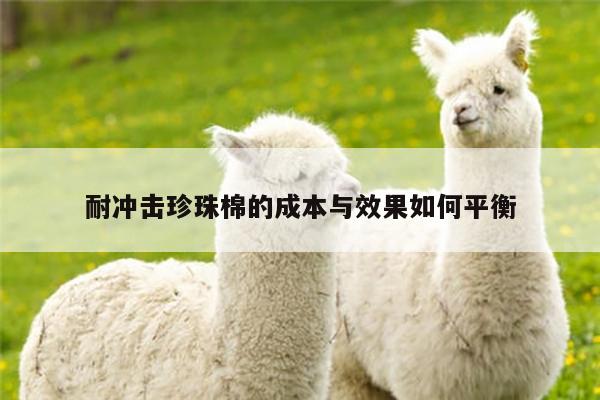 耐冲击珍珠棉的成本与效果如何平衡