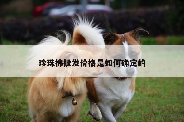 珍珠棉批发价格是如何确定的