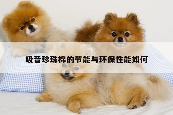 吸音珍珠棉的节能与环保性能如何