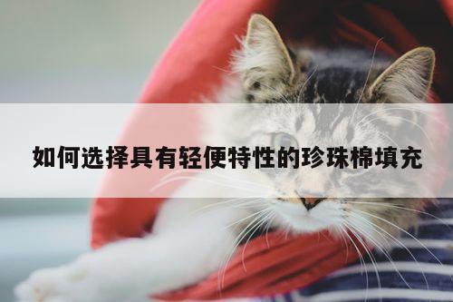 如何选择具有轻便特性的珍珠棉填充