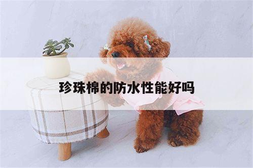 珍珠棉的防水性能好吗