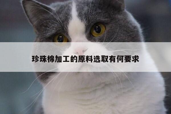 珍珠棉加工的原料选取有何要求