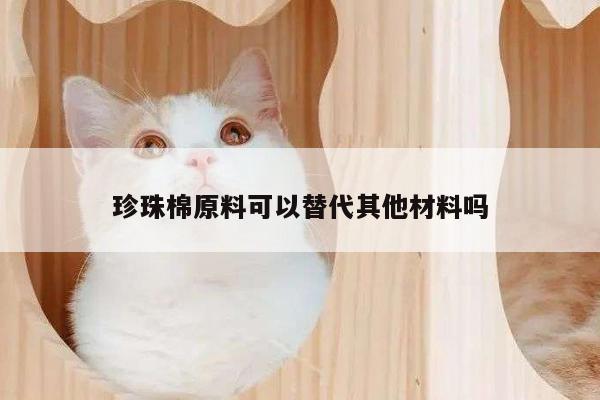 珍珠棉原料可以替代其他材料吗