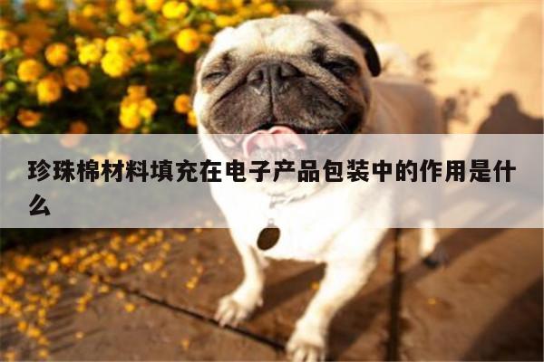 珍珠棉材料填充在电子产品包装中的作用是什么