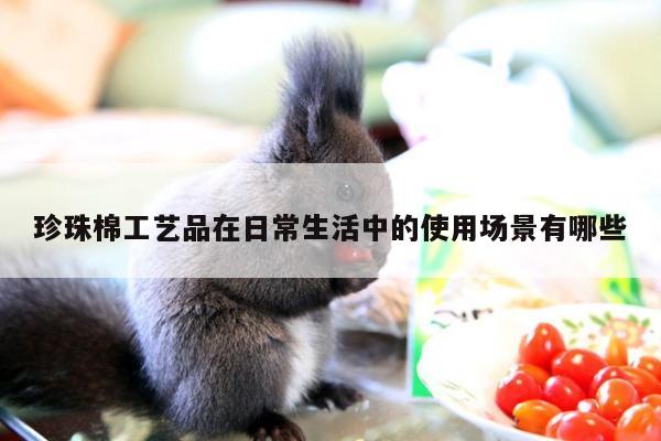 珍珠棉工艺品在日常生活中的使用场景有哪些
