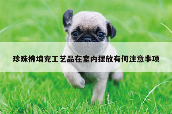 珍珠棉填充工艺品在室内摆放有何注意事项