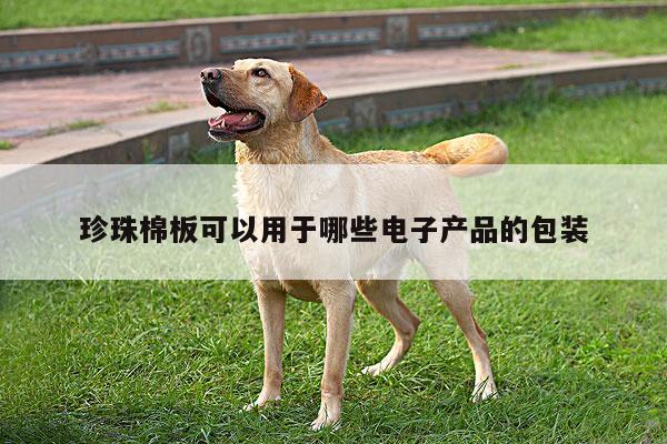 珍珠棉板可以用于哪些电子产品的包装