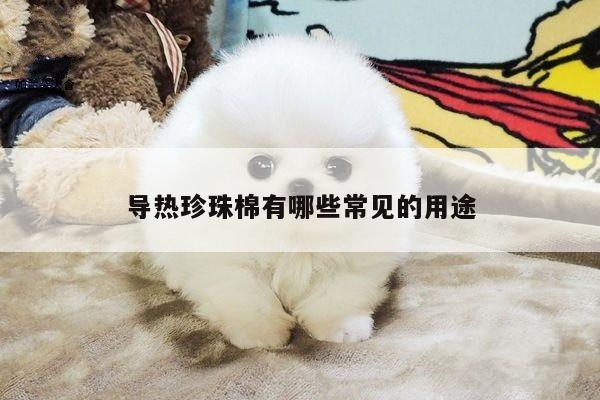 导热珍珠棉有哪些常见的用途