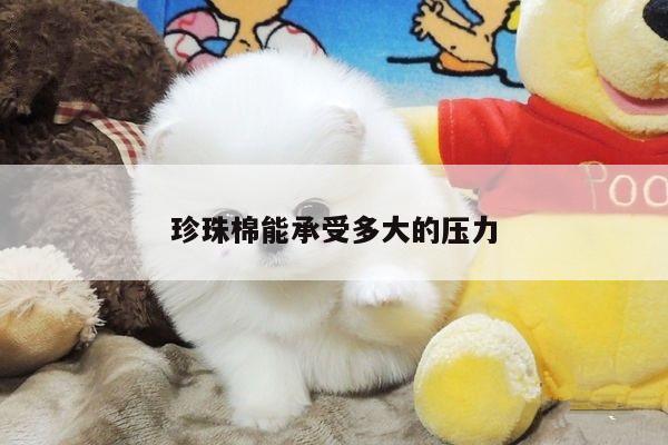 珍珠棉能承受多大的压力