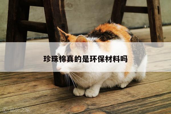 珍珠棉真的是环保材料吗