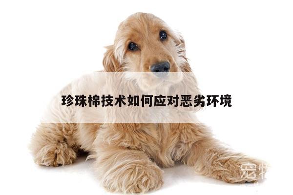 珍珠棉技术如何应对恶劣环境