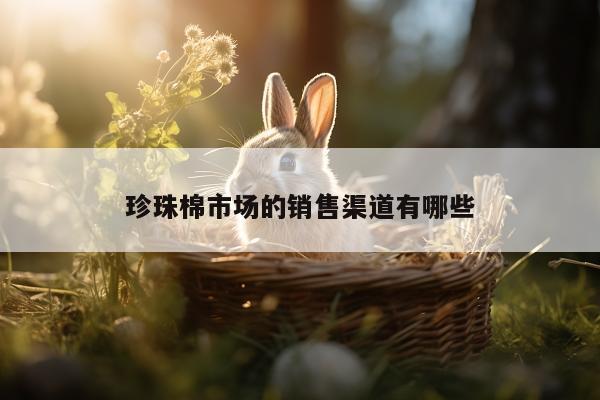 珍珠棉市场的销售渠道有哪些