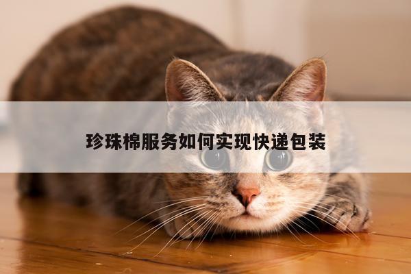 珍珠棉服务如何实现快递包装