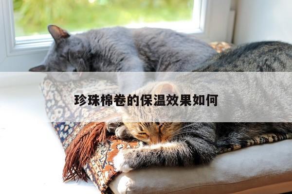 珍珠棉卷的保温效果如何