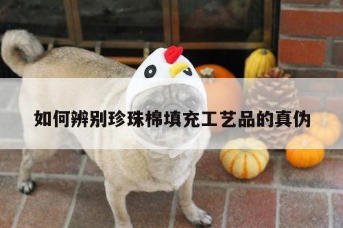 如何辨别珍珠棉填充工艺品的真伪