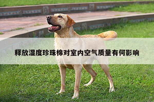 释放湿度珍珠棉对室内空气质量有何影响