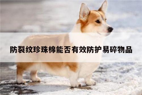 防裂纹珍珠棉能否有效防护易碎物品