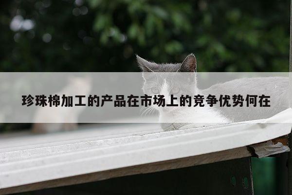 珍珠棉加工的产品在市场上的竞争优势何在