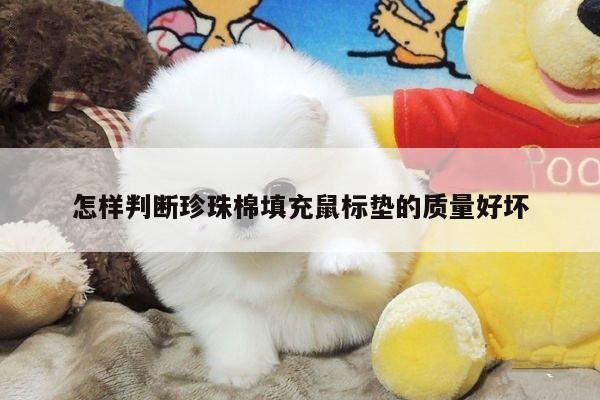 怎样判断珍珠棉填充鼠标垫的质量好坏