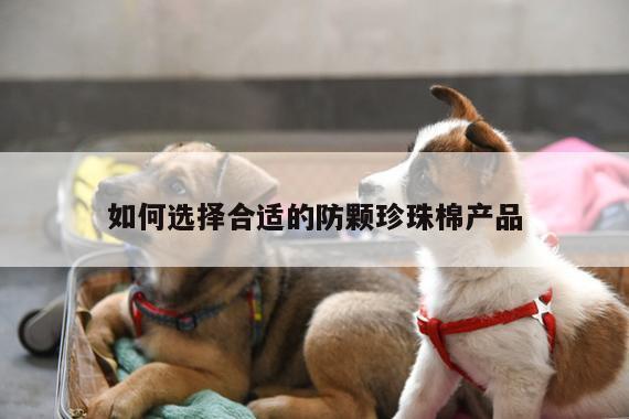 如何选择合适的防颗珍珠棉产品