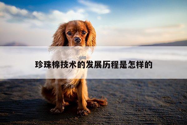 珍珠棉技术的发展历程是怎样的
