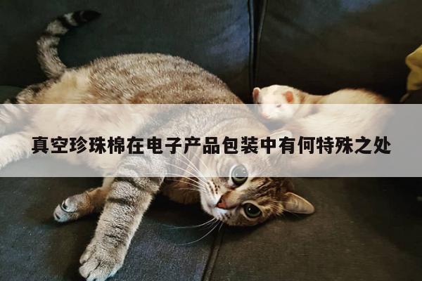 真空珍珠棉在电子产品包装中有何特殊之处