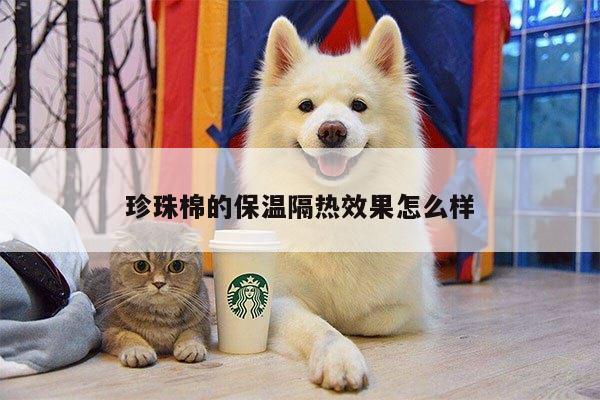 珍珠棉的保温隔热效果怎么样