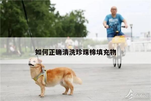 如何正确清洗珍珠棉填充物