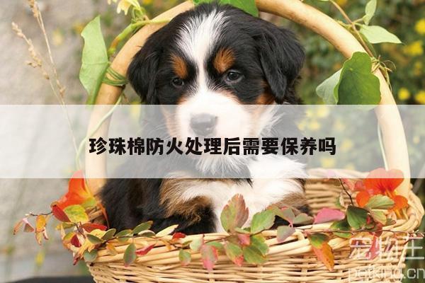 珍珠棉防火处理后需要保养吗
