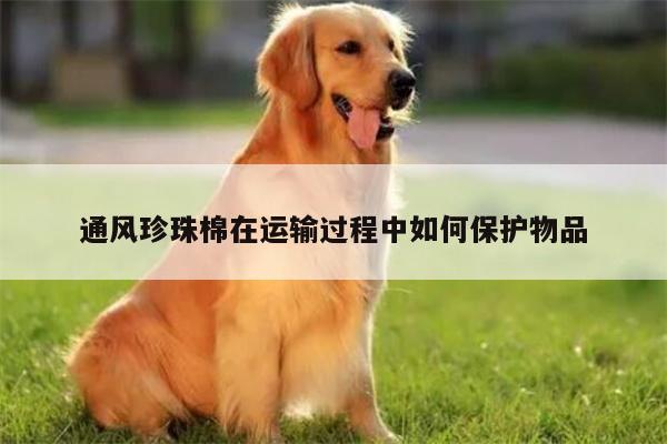 通风珍珠棉在运输过程中如何保护物品